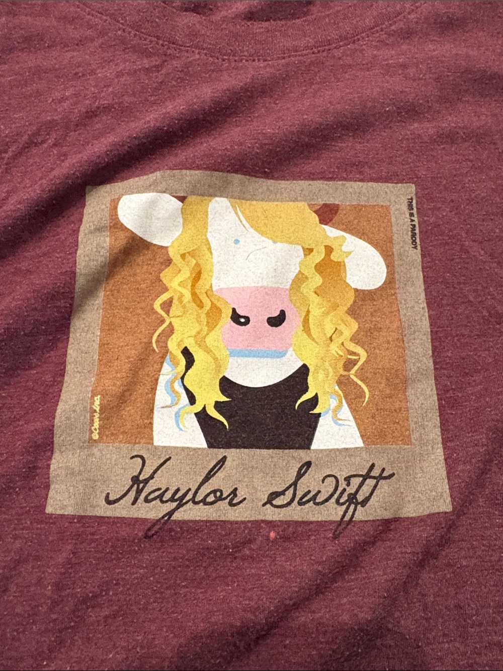 Kids Graphic Tee - Maroon Character Design